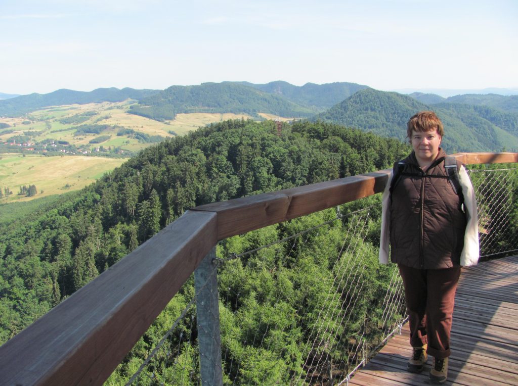Panorama - Nowa Wieża Widokowa - Szczyt Dzikowiec Wielki - Góry Kamienne/Sudety Środkowe (Boguszów-Gorce/Dolny Śląsk; Polska)