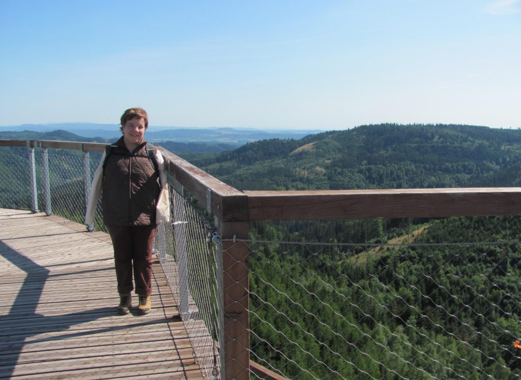 Panorama - Nowa Wieża Widokowa - Szczyt Dzikowiec Wielki - Góry Kamienne/Sudety Środkowe (Boguszów-Gorce/Dolny Śląsk; Polska)